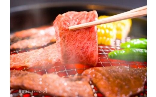 伊賀牛 上カルビ焼肉 約500ｇ【cook0054】