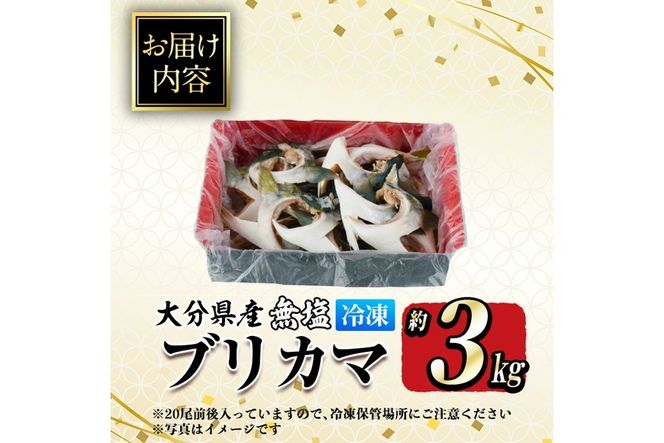 ＜訳あり＞ 無塩 ブリカマ (約3kg)大分県産 国産 ぶりかま ブリ ぶり 鰤 養殖ブリ 煮つけ 鰤かま カマ焼き 冷凍 大分県 佐伯市【ET002】【(有)三宅水産】