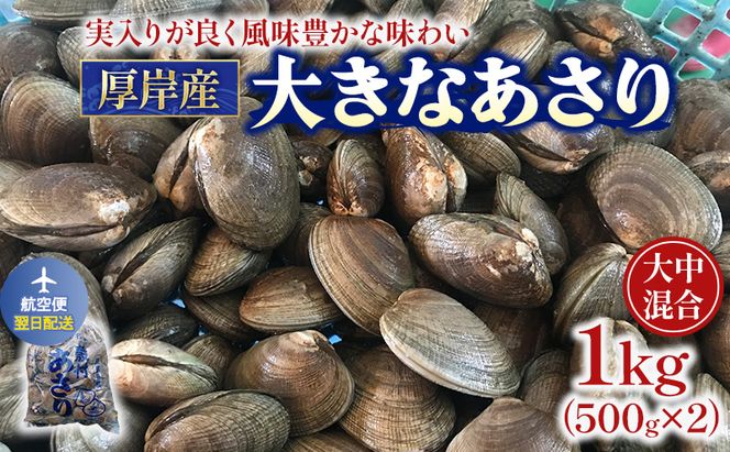 翌日配送 航空便 北海道 厚岸産 あさり 500g×2パック (合計1kg) 大中混合 アサリ 魚貝 海 美味しい 栄養 旨み 砂出し 水洗い 冷蔵 冷凍保存可能 便利