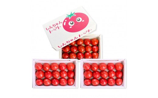 【先行予約】糖度9度以上 フルーツトマト しんちゃんトマト 750ｇ×3箱 合計約2.25kｇ (小～大玉サイズ　10～20個×3箱) 〈2027年2月〜発送〉/ トマト 高糖度 高知県産 ふるーつとまと 甘い 美味しい