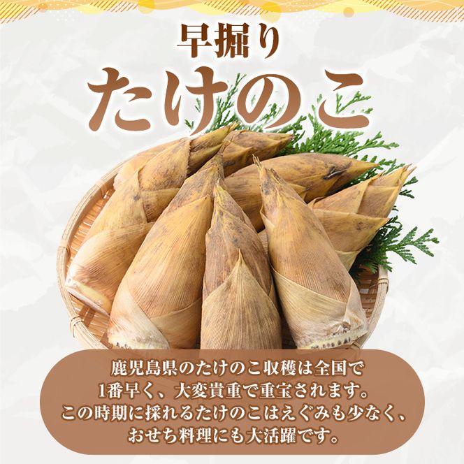 ＜先行予約受付中！2026年12月上旬以降順次発送予定＞訳あり！鹿児島県産 早掘りたけのこ(約3kg) 国産 野菜 たけのこ タケノコ 筍 旬 煮物 水煮 天ぷら つくだ煮【松永青果】akn053-34