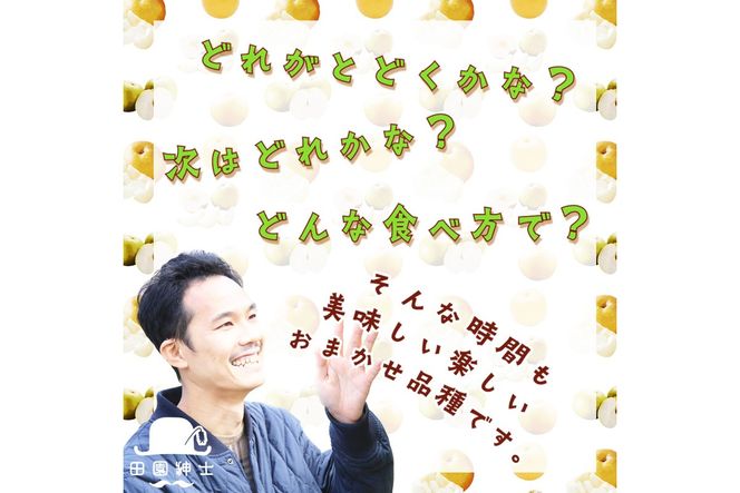 田園紳士厳選「梨好きさんのための定期便3回」（1品種（各約4〜6玉）×3回（計３品種）） 先行予約 果物 フルーツ 梨 定期便 定期 3回 20世紀 豊水 あきづき 甘太 新興 ふるさと納税 フルーツ 定期便 ふるさと納税 梨　DE00144