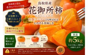 【先行予約】【鳥取市産・良品】花御所柿 約5kg｜甘柿最高クラスの糖度 追熟でとろける食感 和製マンゴーとも称される希少ブランド柿 312011_GN005