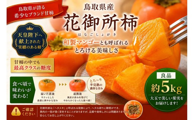 【先行予約】【鳥取市産・良品】花御所柿 約5kg｜甘柿最高クラスの糖度 追熟でとろける食感 和製マンゴーとも称される希少ブランド柿 312011_GN005