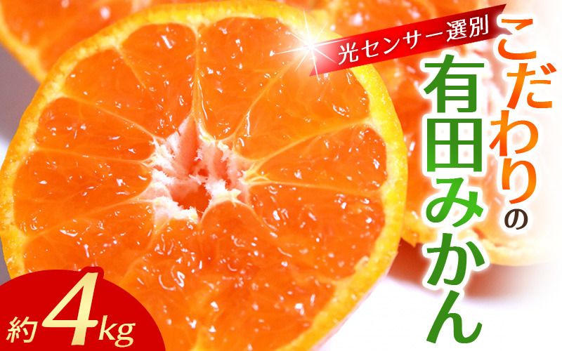 ＼光センサー選別/農家直送 こだわりの有田みかん 約4kg+250g(傷み補償分) 11月発送 [ご家庭用][11月･12月･1月から選択可能] / みかん 有田みかん 温州みかん 柑橘 果物 くだもの フルーツ 有田 和歌山 和歌山県産 産地直送[nuk148-11]