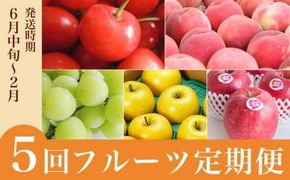【5回定期便】小布施屋の人気フルーツ定期便 年5回コース ［小布施屋］定期便 頒布会 フルーツ 果物 長野県産  令和8年産 【2026年6月中旬～2027年2月発送】［E-8］