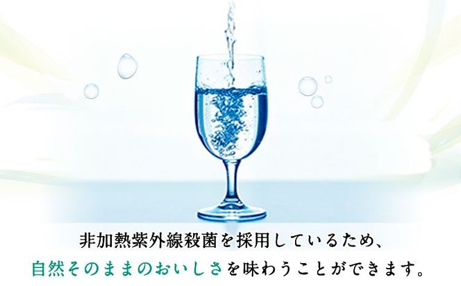 日本名水百選ミネラルウォーター「南阿蘇・白川水源」くまモンボトル 500ml×12本入 2ケース 《30日以内に出荷予定(土日祝除く)》熊本県 南阿蘇村 物産館自然庵 水 ミネラルウォーター---sms_szmwk_30d_12500_12px2---