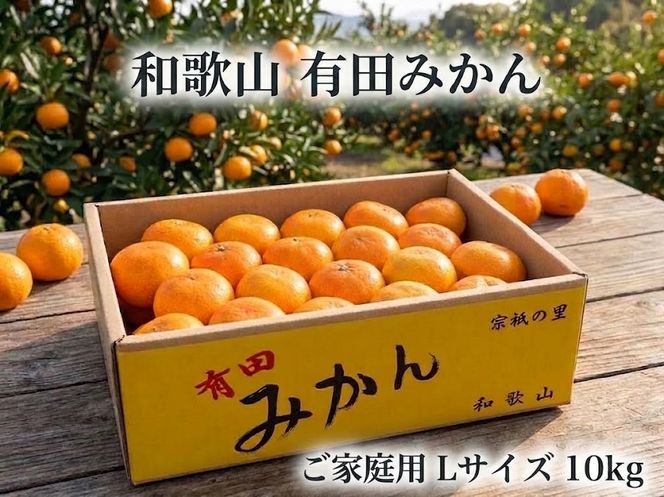 ［ご家庭用・サイズＬ］和歌山有田産！早生みかん≪10kg≫［予約販売］［数量限定］まる隆果樹園  	CS033