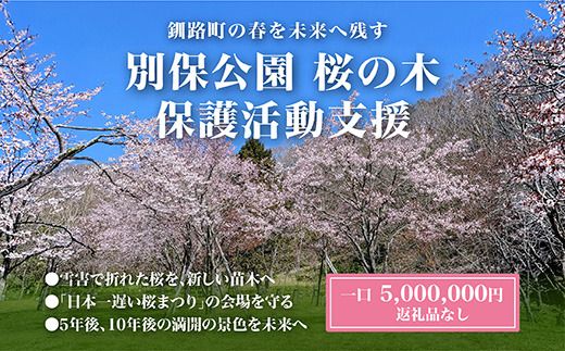 【返礼品なし】別保公園の桜を雪害から復活させたい ｜「日本一遅い桜まつり」応援寄附（5,000,000円） さくら 桜 桜の木 植樹 別保公園 北海道 釧路町 釧路超 寄付 支援 応援 共感型sakura04