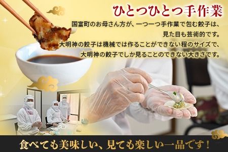 【お歳暮】＜一口餃子 60個入り＞2024年12月12日から12月17日までにお届け【 餃子 ぎょうざ ギョウザ ギョーザ 宮崎餃子 宮崎 一口餃子 大明神 鶏肉 豚肉 野菜 居酒屋 おつまみ 晩御飯 お供 ビール 焼酎 ハイボール だれやめ 弁当 冷凍 白菜 ギフト 贈答用 】【b0706_dm_ose】