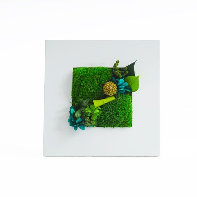 グリーンフレームM 花 お花 プリザーブドフラワー ギフト プレゼント お祝い 誕生日 お供え アレンジ インテリア 東京都 墨田区