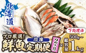 【定期便 2ケ月連続】 お魚の目利きのプロにお任せ！北海道産（国産） 天然 鮮魚 約500g～1kg（釧路の鮮魚セット） 鮮魚 刺身 セット 産地直送 定期便 冷凍 冷凍便 魚介類 海鮮 絶品 人気 ヒロセ 北海道 釧路町 釧路超 特産品　121-1262-142-012