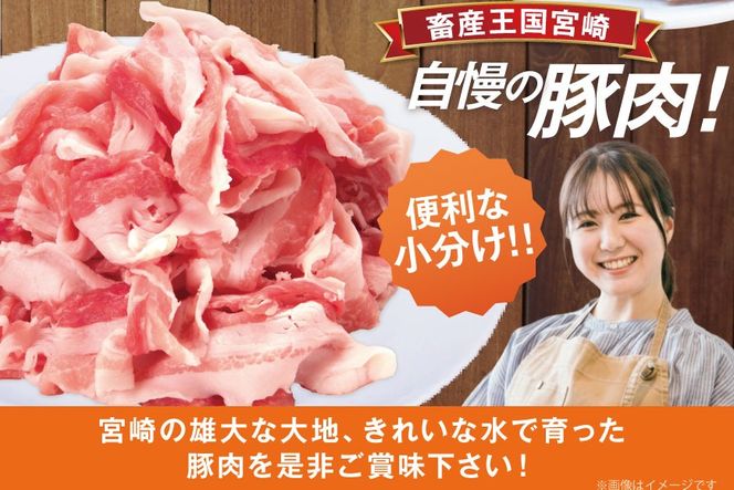 豚肉 日本ハム 定期便 宮崎県産 小間切れ 2kg 500g 4p 3回 総計 6kg [日本ハムマーケティング 宮崎県 日向市 452061046] 小分け 冷凍 細切れ ぶた 細切れ こま切れ