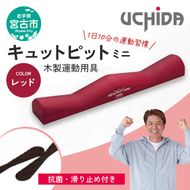【宮古市】キュットピットミニレッド 岩手県 木材 スギ 健康 手軽 用具