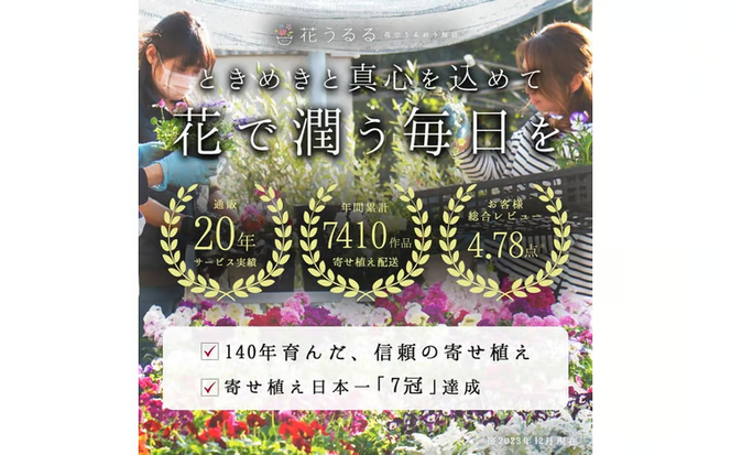 D546 パンジー＆ビオラの寄せ植え[カシスオレンジ(プランター版)]玄関先 フラワーギフト