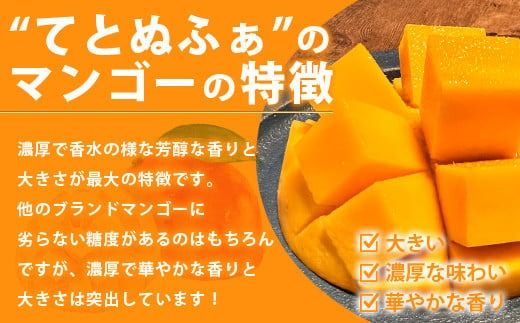 《2026年6月中旬以降発送》島の美味しいを詰め込んだ、パイン＆マンゴーのよくばりセット！【 沖縄県 石垣市 石垣島 完熟 パイン パイナップル スナック マンゴー セット 詰め合わせ 産地直送 】TF-24_R8