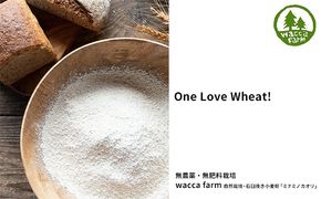 瀬戸内自然栽培・石臼挽き小麦粉「ミナミノカオリ」5kg 加工食品 晴れの国 太陽 エネルギー パン お菓子 無農薬 無肥料 胚芽 表皮 胚乳 経験 技術 