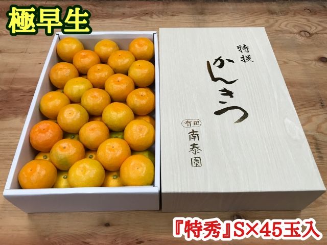 極早生 有田みかん 化粧箱 約3kg『特秀』Sサイズ45玉入_ZF6002n