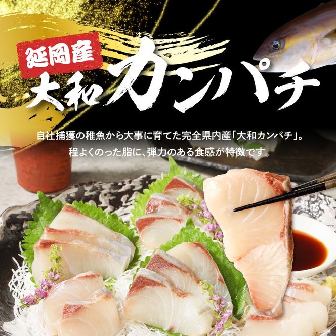 【大和海商】大和カンパチの切り身　約600g N072-YA3339