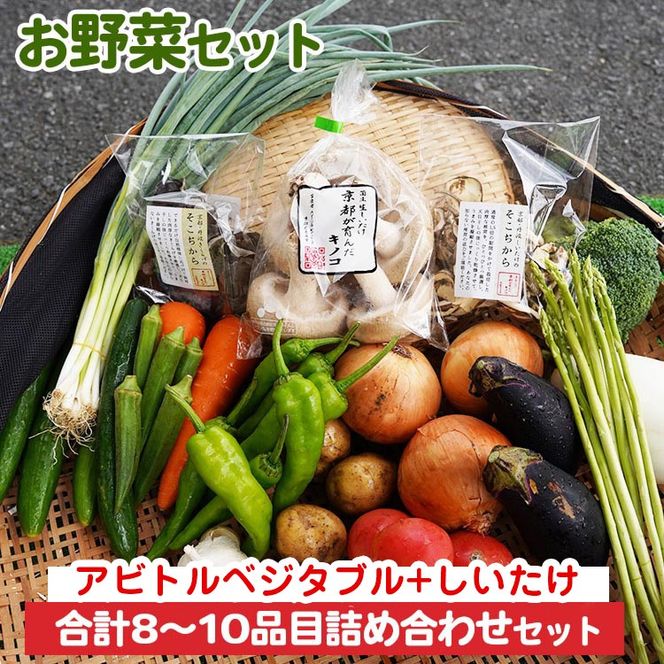 お野菜セット アビトルベジタブル+しいたけ 合計8～10品目詰め合わせセット 季節の野菜 旬の野菜 やさい 新鮮 産地直送 きのこ キノコ 産直 国産 京都 京都産 ※北海道・沖縄・離島への配送不可