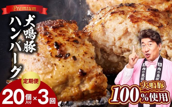 G5386 【泉佐野ブランド豚】犬鳴豚の手作りプレミアムハンバーグ（20個入り）×3回【国産 豚肉 ぶたにく 定期便 犬鳴ポーク 普段使い】