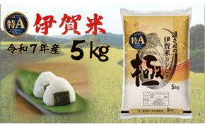 令和7年産【数量限定】三重県伊賀米 極 5kg 精米 進さんのコシヒカリ 242161_FM007