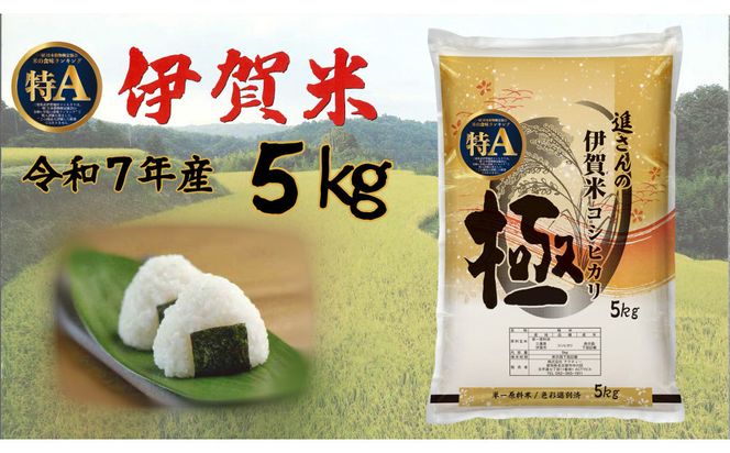 令和7年産【数量限定】三重県伊賀米 極 5kg 精米 進さんのコシヒカリ 242161_FM007
