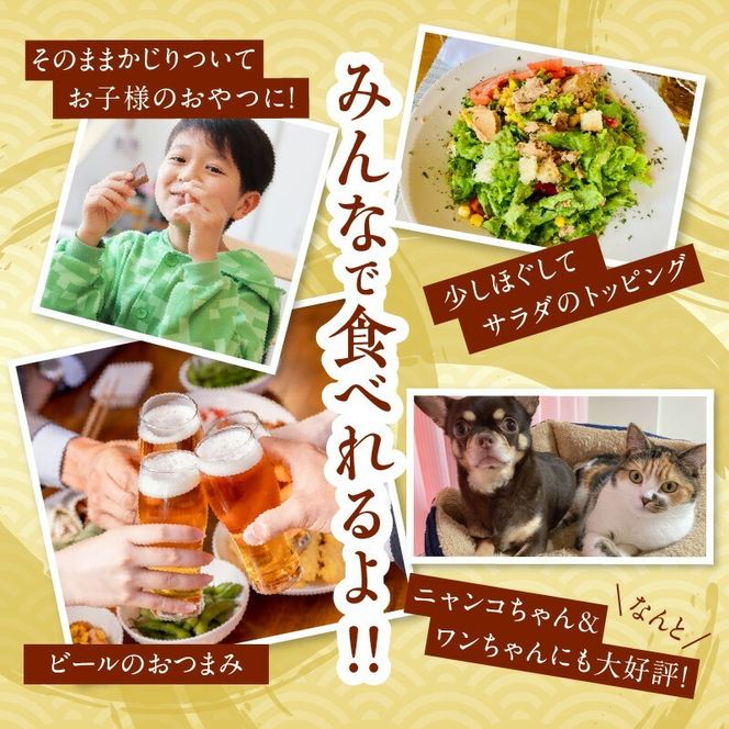 べんり！れとるととセット N016-YA3367