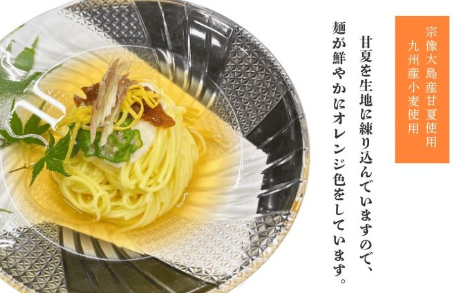 【道の駅むなかた】宗像大島産甘夏そうめん 6袋セット_HA1826