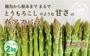 ＜北海道産 春採れグリーンアスパラ 2㎏＞甘さ広がる春の味覚！ 北海道 北海道産 国産 産地直送 乙部町 旬 新鮮 採れたて 農家直送 あすぱら アスパラガス 野菜 冷蔵配送 L以上 お取り寄せ 送料無料
