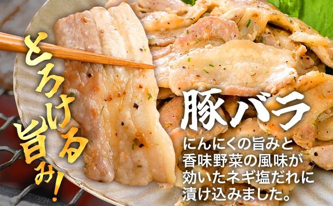 牛肉 豚肉 鶏肉 味付け肉 牛豚鶏 味付け 焼肉 セット 2.4kg 牛バラ 豚バラ ヤンニョムチキン モモ 味付き 小分け 保存 簡単調理 醤油 にんにく タレ 生姜 香味野菜 ネギ塩 キャンプ バーベキュー