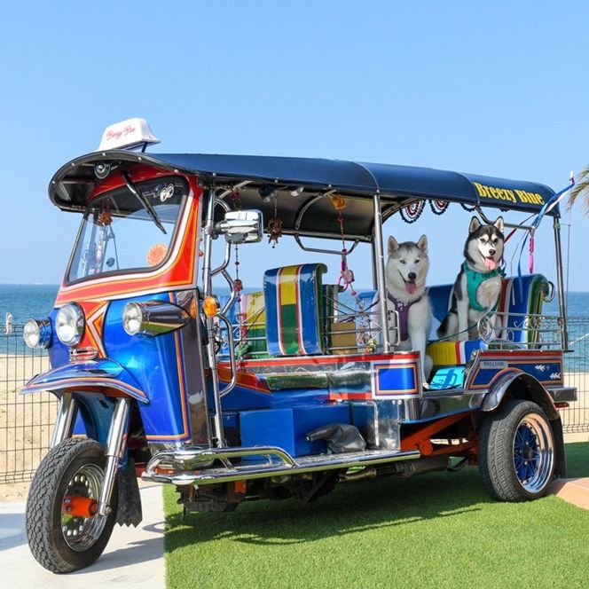 貸別荘BreezyBlue淡路島 ご利用券【10月～3月宿泊限定】（10,000円分）