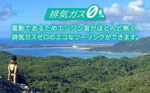 電動三輪バギーで行くレンタル2時間(7人乗り)【 沖縄 石垣島 レンタル バイク バギー トライク 車 】RO-3