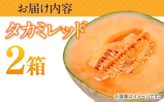 【2026年5月〜発送】タカミメロン レッド 2箱 （1箱 3～6玉）/ メロン めろん フルーツ 果物 / 南島原市 / 南島原果物屋[SCV032]