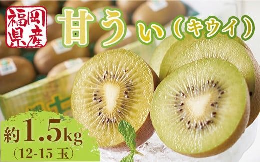 yFzyԌ蔭z LEC Â 1.5kg [썑t[c  F um40azo970032] Y LECt[c t[c ʕ 