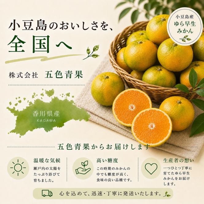 【 小豆島 】小豆島 ゆら早生みかん 約5kg みかん 蜜柑 ミカン ゆら早生 フルーツ 果物 くだもの 国産 香川 香川県 土庄 土庄町