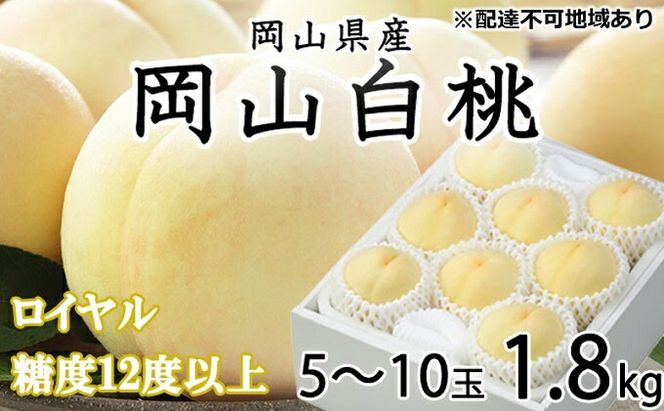 桃 2026年 先行予約 岡山 白桃 ロイヤル 5～10玉 約1.8kg JAおかやまのもも（早生種・中生種） もも モモ 岡山県産 国産 フルーツ 果物 ギフト