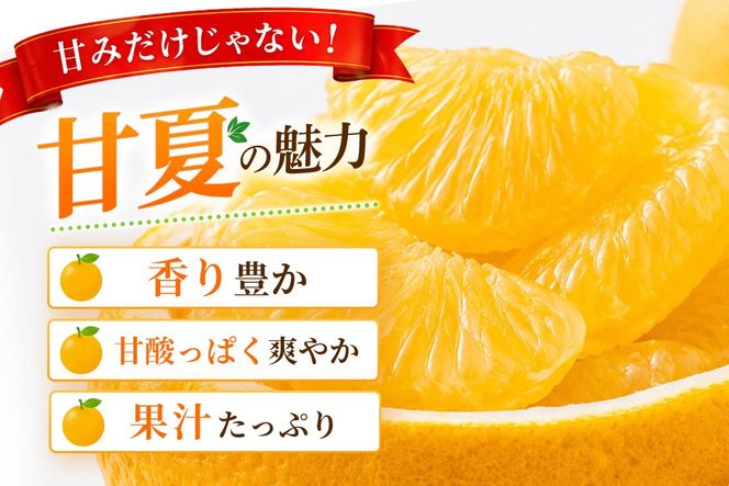 【2027年4月中旬より発送開始】甘夏 5kg【みかん 柑橘 フルーツ デザート】(H116143)