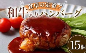 食卓の定番！和牛入りハンバーグ 15個 豚肉 和牛 定番 ジューシー 肉汁 手軽  メインディッシュ ジュワッ お子さま 大人 シンプル 飽きない お歳暮 お中元 F6T-594
