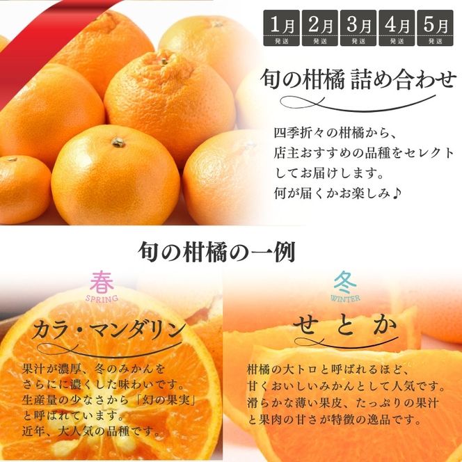 みかん 【全12回】 柑橘 定期便 石本果樹園 店主おすすめの柑橘セットを毎月お届け！ / フルーツ 果物 くだもの 柑橘 フルーツ定期便 くだもの定期便 定期便 フルーツセット くだものセット みかん ミカン 温州みかん 不知火 せとか セミノール ポンカン カラマンダリン 甘夏 清見 オレンジ ジュース みかんジュース 果実飲料 産地直送 旬 人気 おすすめ 詰め合わせ お楽しみ 三重県 紀宝町 【tkb507】
