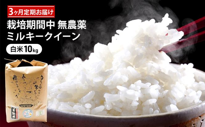 栽培期間中 無農薬ミルキークイーン 白米10kg 3ヶ月定期お届け お米ブランド米 精米 ご飯 おにぎり お弁当 和食 福井県認証特別栽培米 もちもち 冷めてもおいしい 