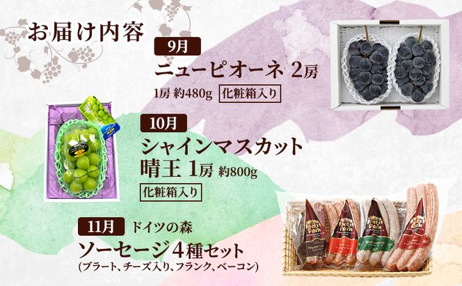 定期便 2026年 先行予約 岡山の人気果物とドイツの森の人気商品 厳選 3回コース ぶどう ニューピオーネ シャインマスカット 晴王 ソーセージ 赤磐市