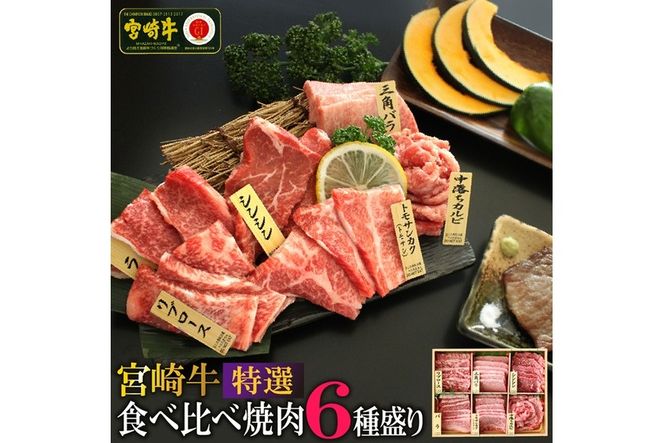 宮崎牛！特選！食べ比べ焼肉6種盛り(合計600g)国産 宮崎県産 牛肉 お肉 ロース カルビ 赤身 特選赤身 霜降り 中落ちカルビ 冷凍【AP-14】【日向屋】