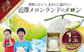 【先行予約】メロン 1玉入（約1.4kg～1.8kg）青肉 〈2027年4月上旬～5月中旬頃発送〉 メロン めろん マスクメロン 舐瓜 果物 くだもの フルーツ デザート 旬 ハウス栽培【株式会社とさもん】[BQAE024]