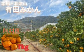 則村園産 有田みかん 7kg 温州みかん みかん 蜜柑 甘い 甘いみかん 有田 有田川町 和歌山 EX03