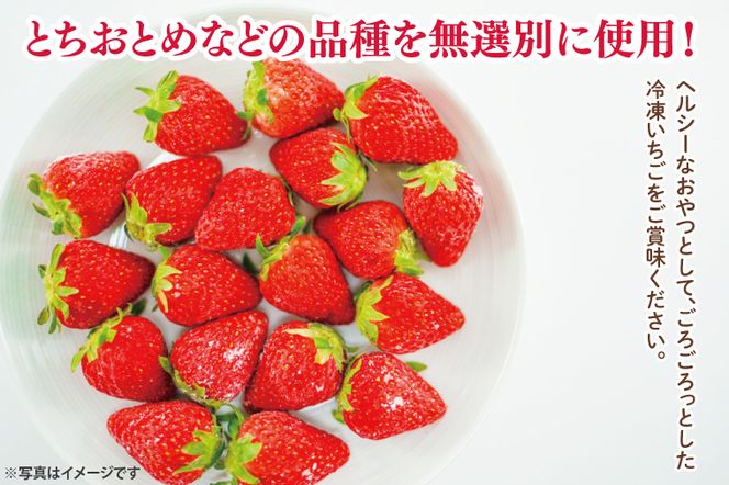 瞬間冷凍完熟いちご 500g×2袋｜いちご イチゴ 苺 冷凍イチゴ 冷凍いちご 冷凍 冷凍フルーツ 完熟 フルーツ 果物 くだもの デザート おやつ スムージー ジャム 数量限定(S-9-1)