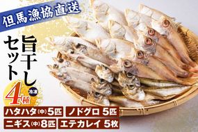 【旨干しセット 4種 冷凍】 干物 セット エテカレイ かれい ノドグロ のどぐろ ハタハタ はたはた ニギス にぎす 国産 山陰 魚 麹 ふるさと納税 おすすめ 返礼品 兵庫県 香美町 但馬漁業協同組合 03-19