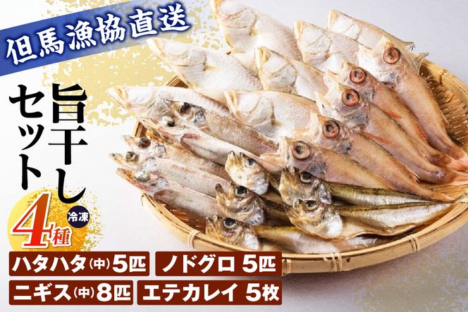 【旨干しセット 4種 冷凍】 干物 セット エテカレイ かれい ノドグロ のどぐろ ハタハタ はたはた ニギス にぎす 国産 山陰 魚 麹 ふるさと納税 おすすめ 返礼品 兵庫県 香美町 但馬漁業協同組合 03-19