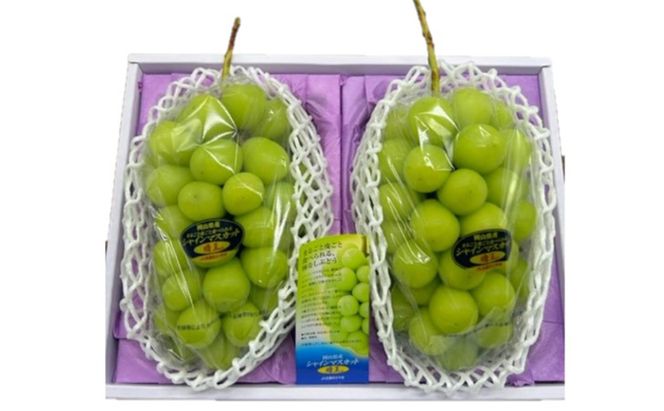 ぶどう 2026年 先行予約 シャインマスカット晴王2房(1房480g以上) 化粧箱入り ブドウ 葡萄 岡山県産 国産 フルーツ 果物 ギフト 