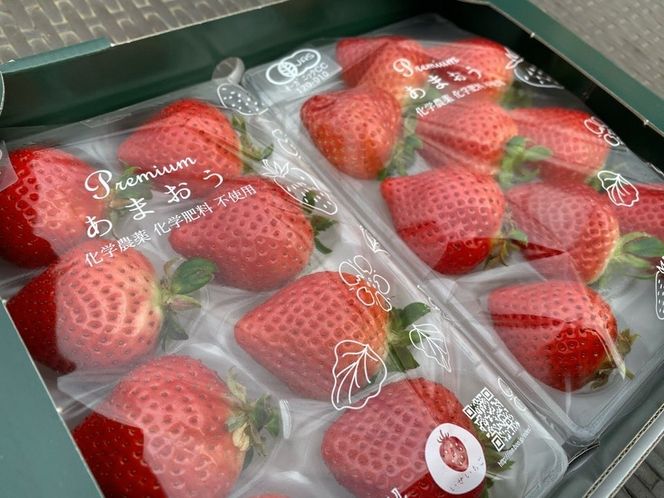 プレミアムオーガニックあまおう　スペシャルギフト【伊世いちご畑】_HA0480